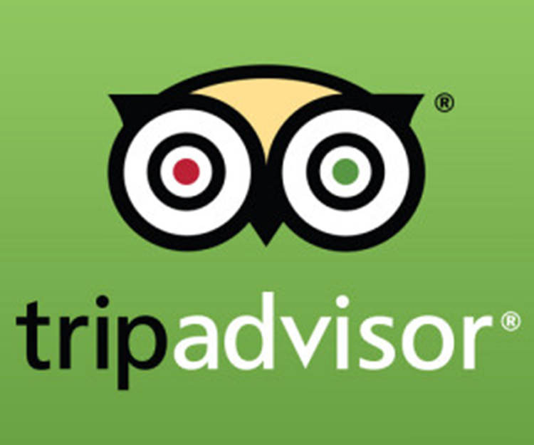 trip advisor logo e1427179726719 copy751042584